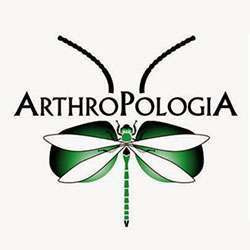 Logo Arthropologia Logo Arthropologia