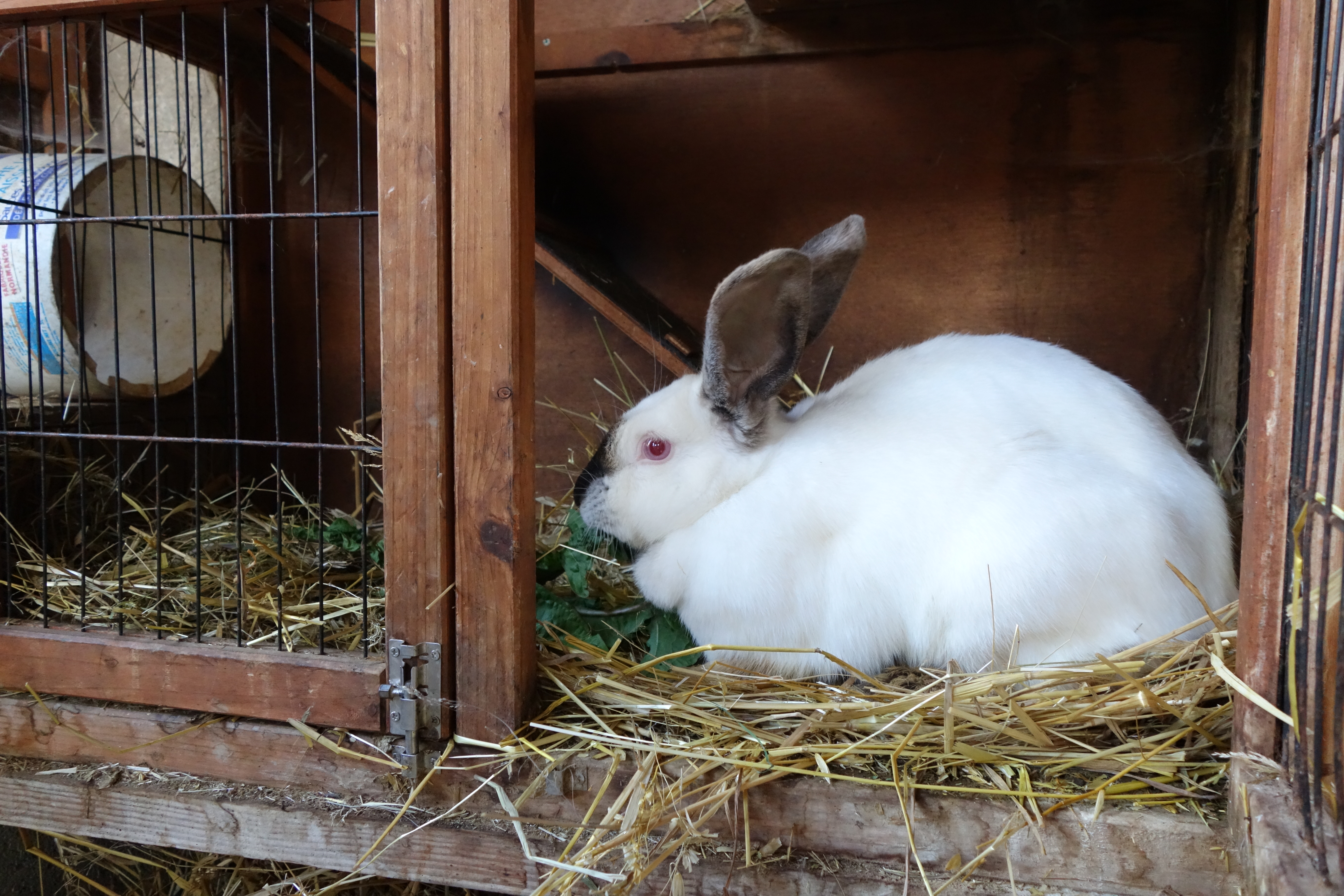 FERME PÉDAGOGIQUE